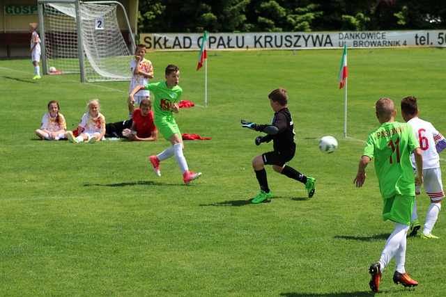 业模式的推 业模式的推