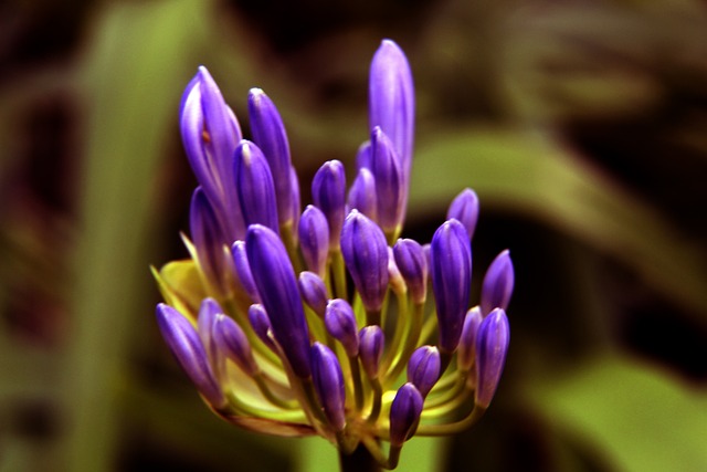 是克服伤病 是克服伤病