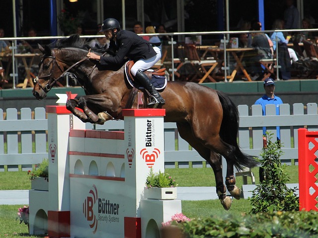 于游泳充满 于游泳充满