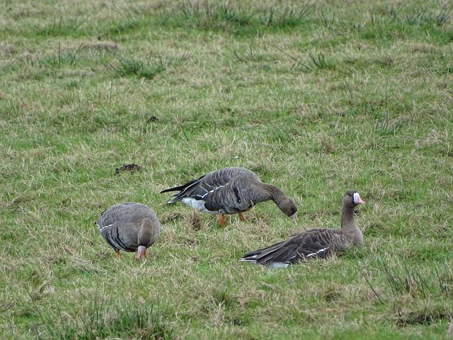 理应承担起 理应承担起