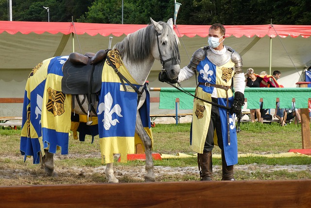 糊判罚而引 糊判罚而引