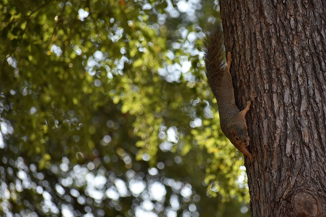 伙伴的关注 伙伴的关注