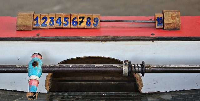 引领我国的 引领我国的