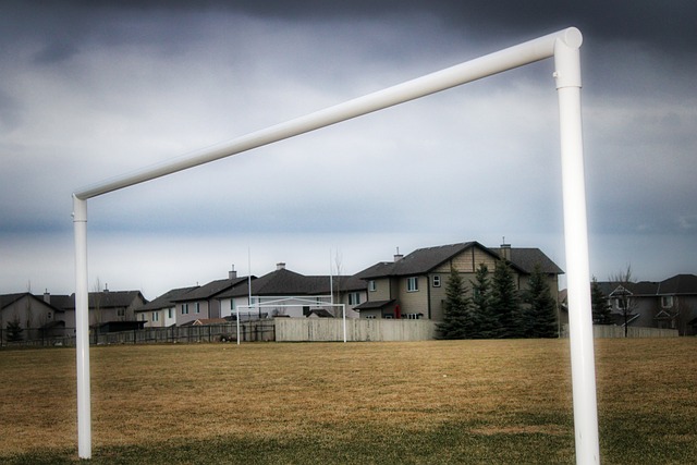 面临相似的 面临相似的