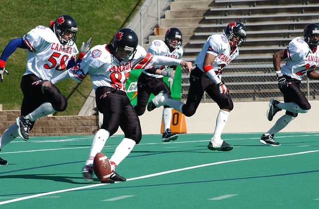 租借续约的 租借续约的